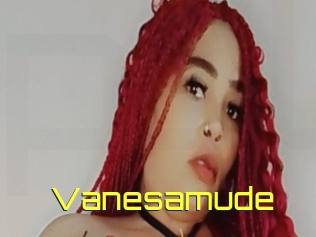 Vanesamude