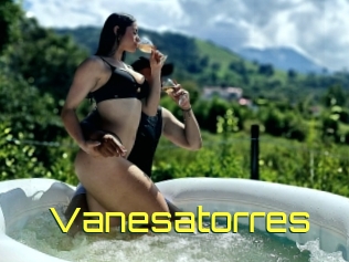 Vanesatorres