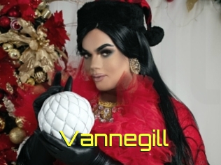 Vannegill