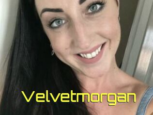 Velvetmorgan