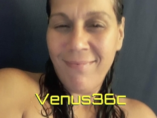 Venus36c