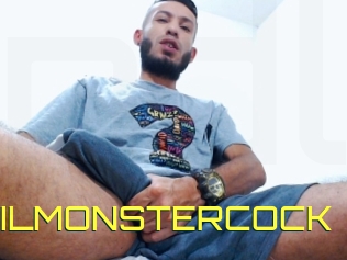 WILMONSTERCOCK