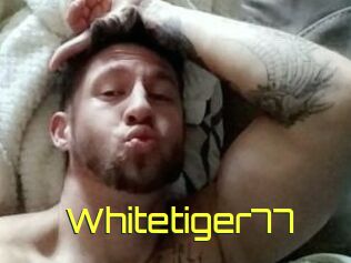 Whitetiger77