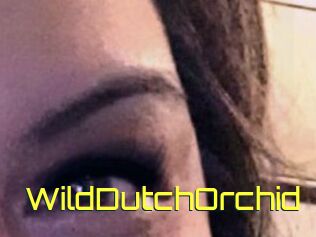 WildDutchOrchid