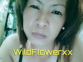 WildFlowerxx