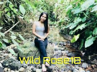 Wild_Rose18