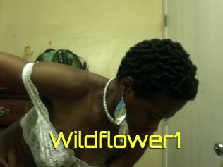 Wildflower1