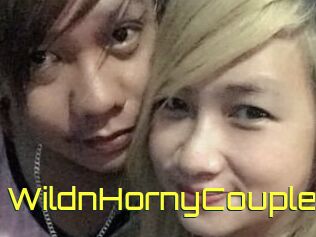 WildnHornyCouple