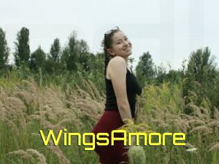 WingsAmore