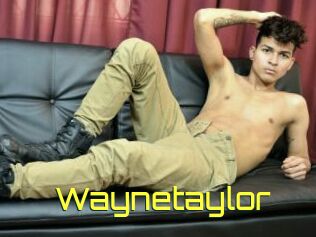 Waynetaylor