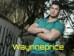 Waynneprice