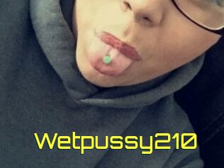 Wetpussy210