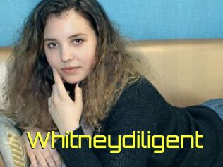 Whitneydiligent