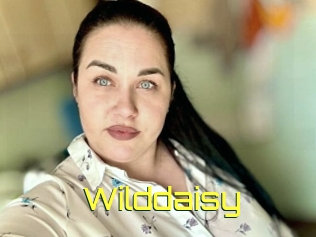 Wilddaisy