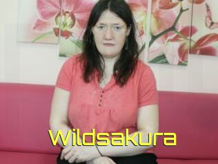 Wildsakura