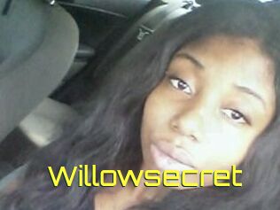 Willow_secret