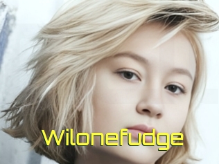 Wilonefudge