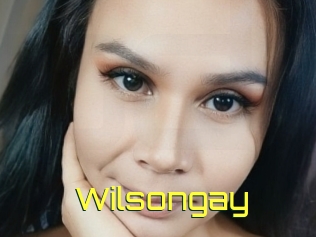 Wilsongay