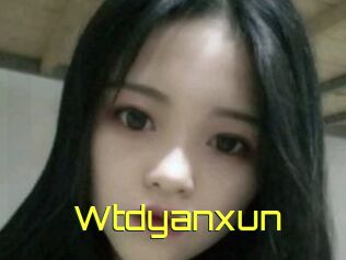 Wtdyanxun