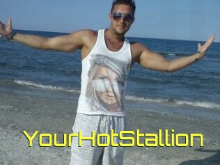 YourHotStallion