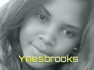 Ynesbrooks