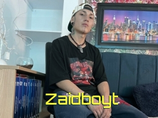 Zaidboyt