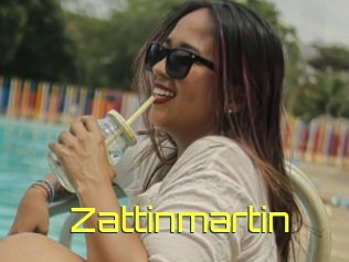 Zattinmartin