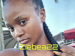 Ziebea22