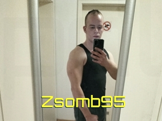 Zsomb95